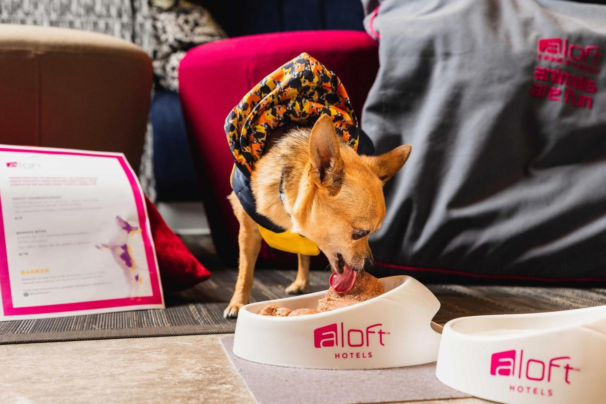 Aloft Lima Miraflores Экстерьер фото
